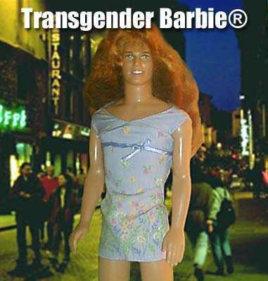 transs.jpg